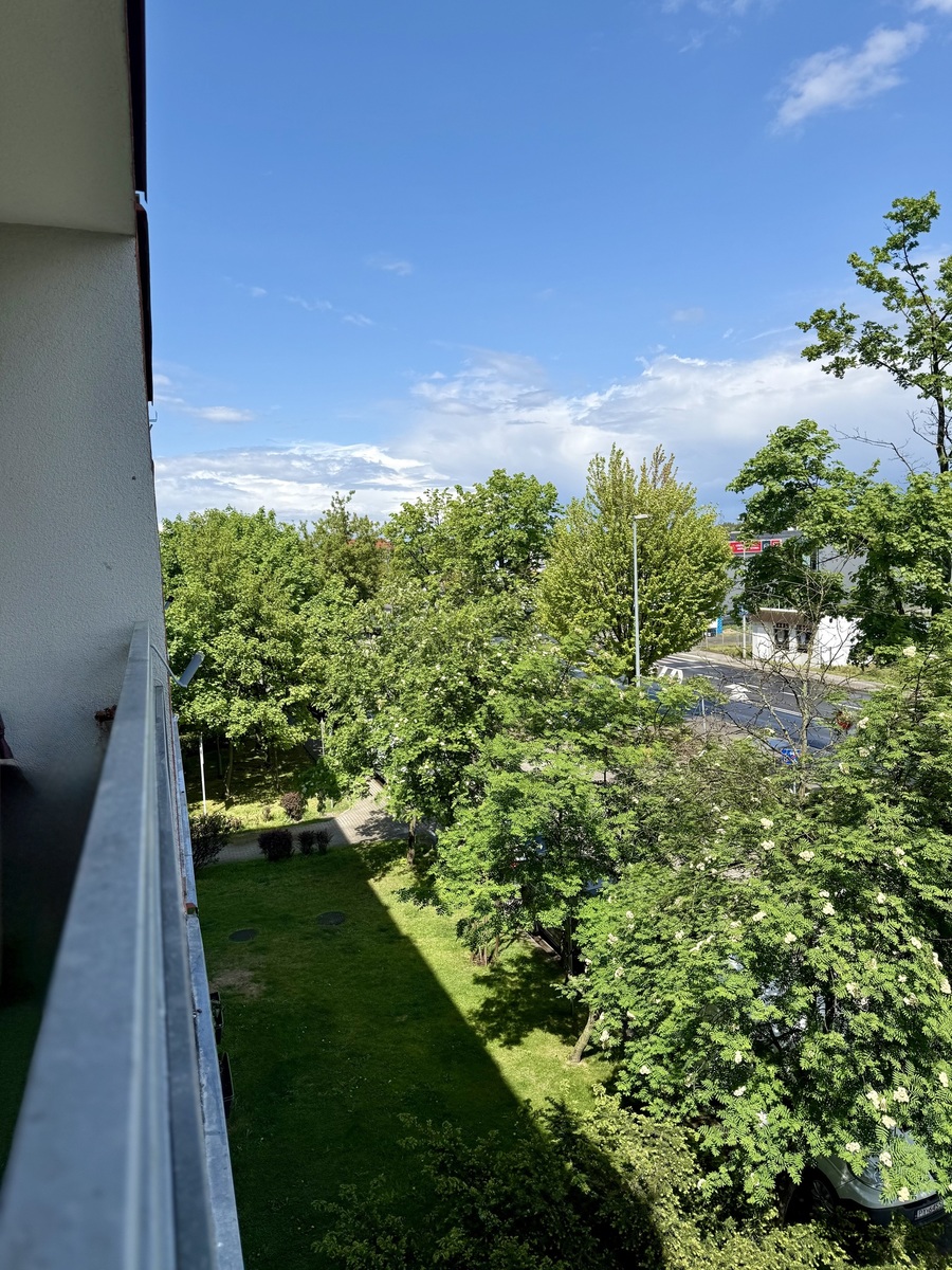 picture_14