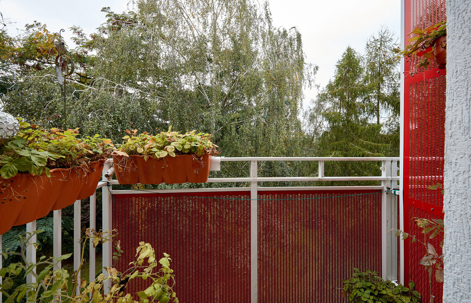 picture_8